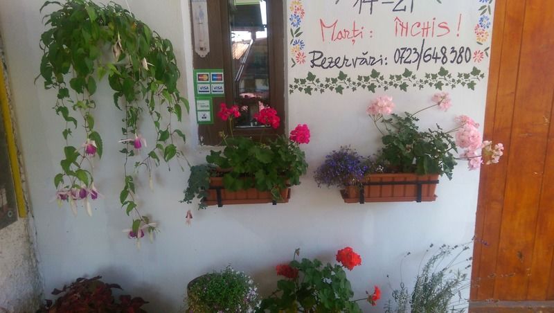 Bistro-Pension La Teleferic Sinaia Esterno foto