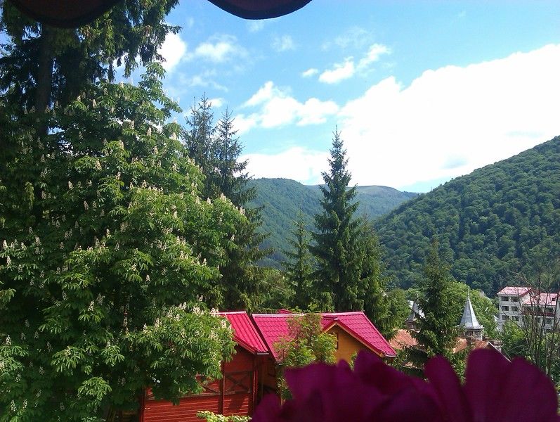 Bistro-Pension La Teleferic Sinaia Esterno foto