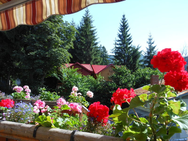 Bistro-Pension La Teleferic Sinaia Esterno foto